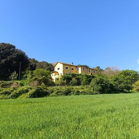 مبيت وإفطار Besalú Mas Pitre المظهر الخارجي الصورة